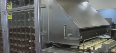 Filhós que faz o equipamento, máquina industrial da filhós para o pão/filhós do fermento fornecedor